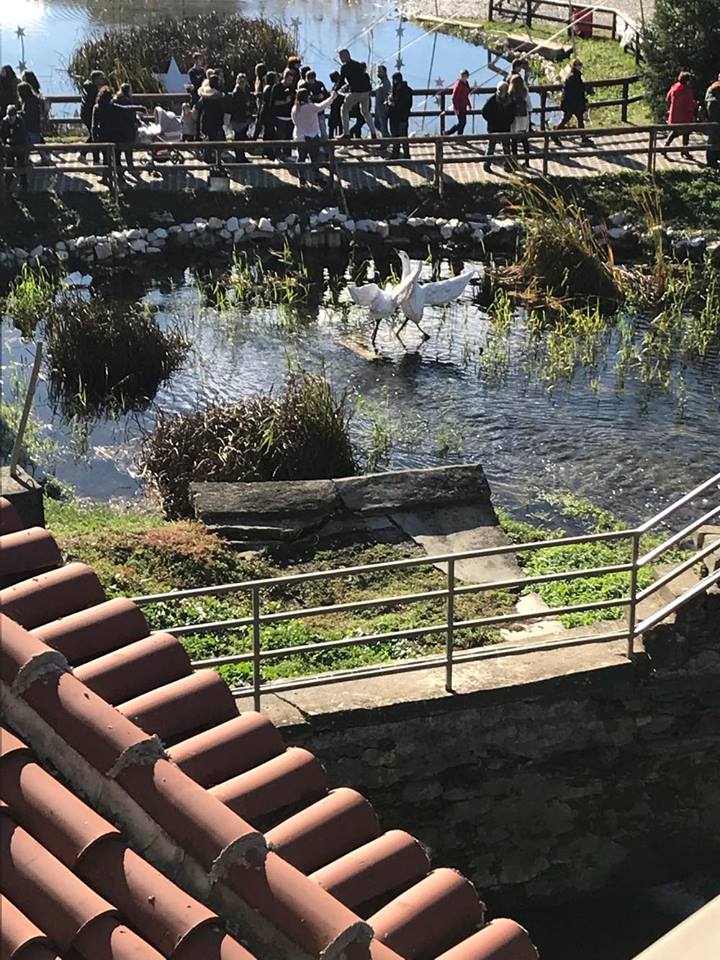 gs2017-169-trikala_ekdromi-006