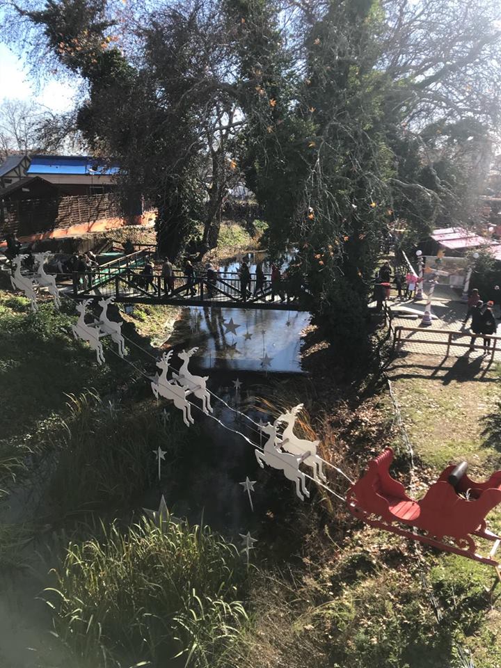 gs2017-169-trikala_ekdromi-009