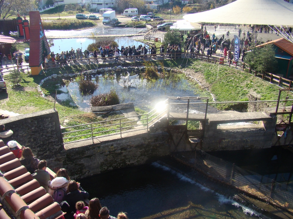 gs2017-169-trikala_ekdromi-015