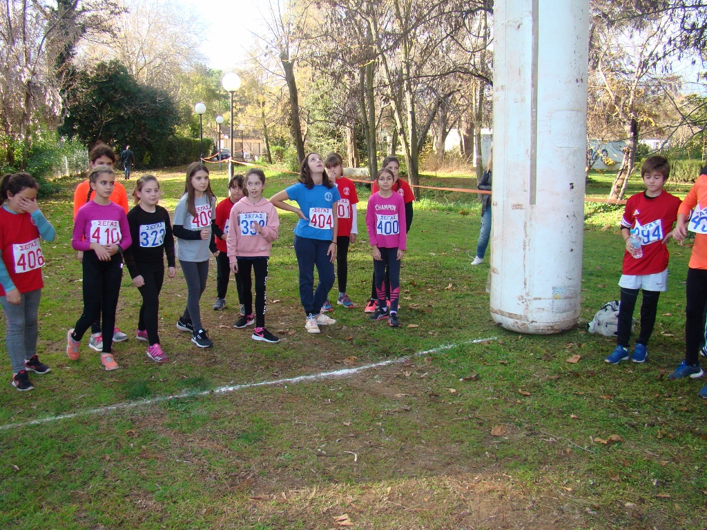 gs2017-171-aliartos-001