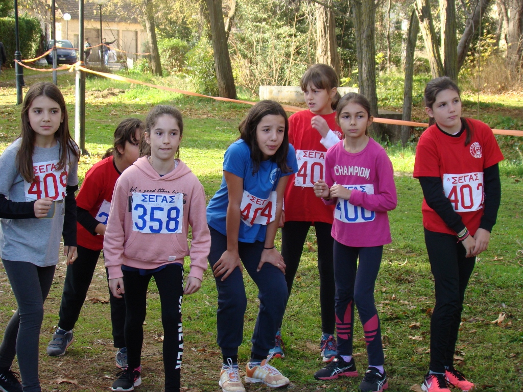 gs2017-171-aliartos-002