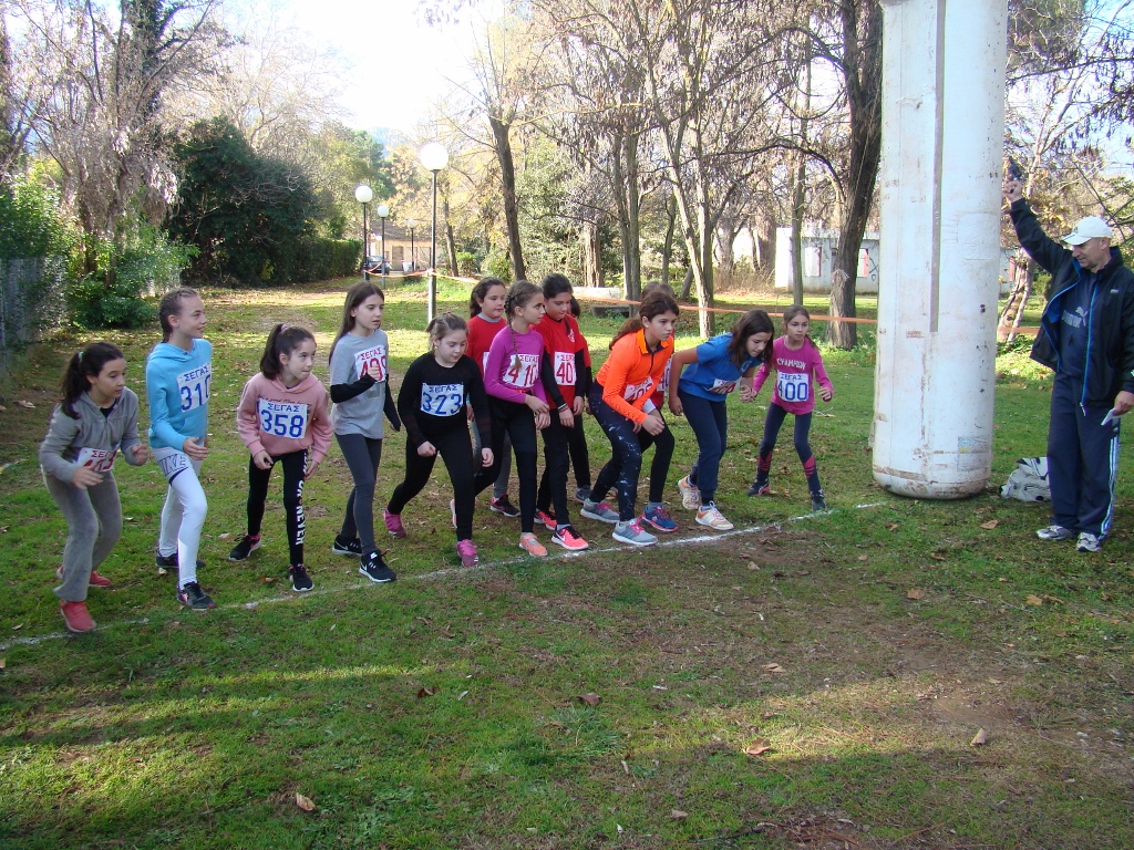 gs2017-171-aliartos-003