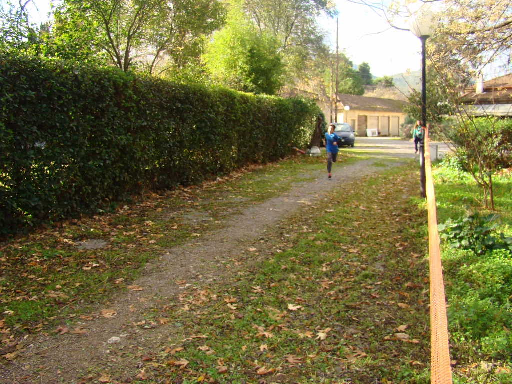 gs2017-171-aliartos-010