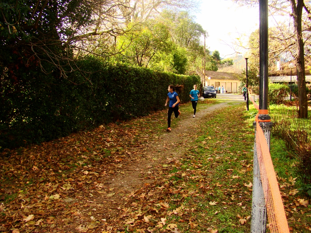 gs2017-171-aliartos-015