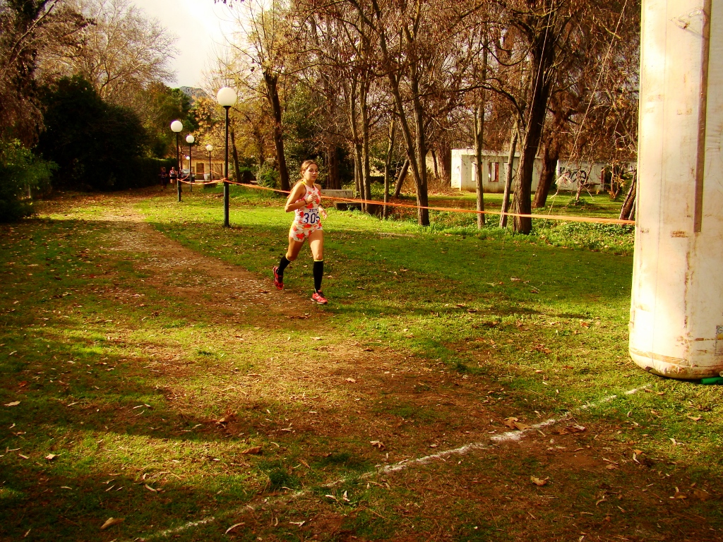 gs2017-171-aliartos-023