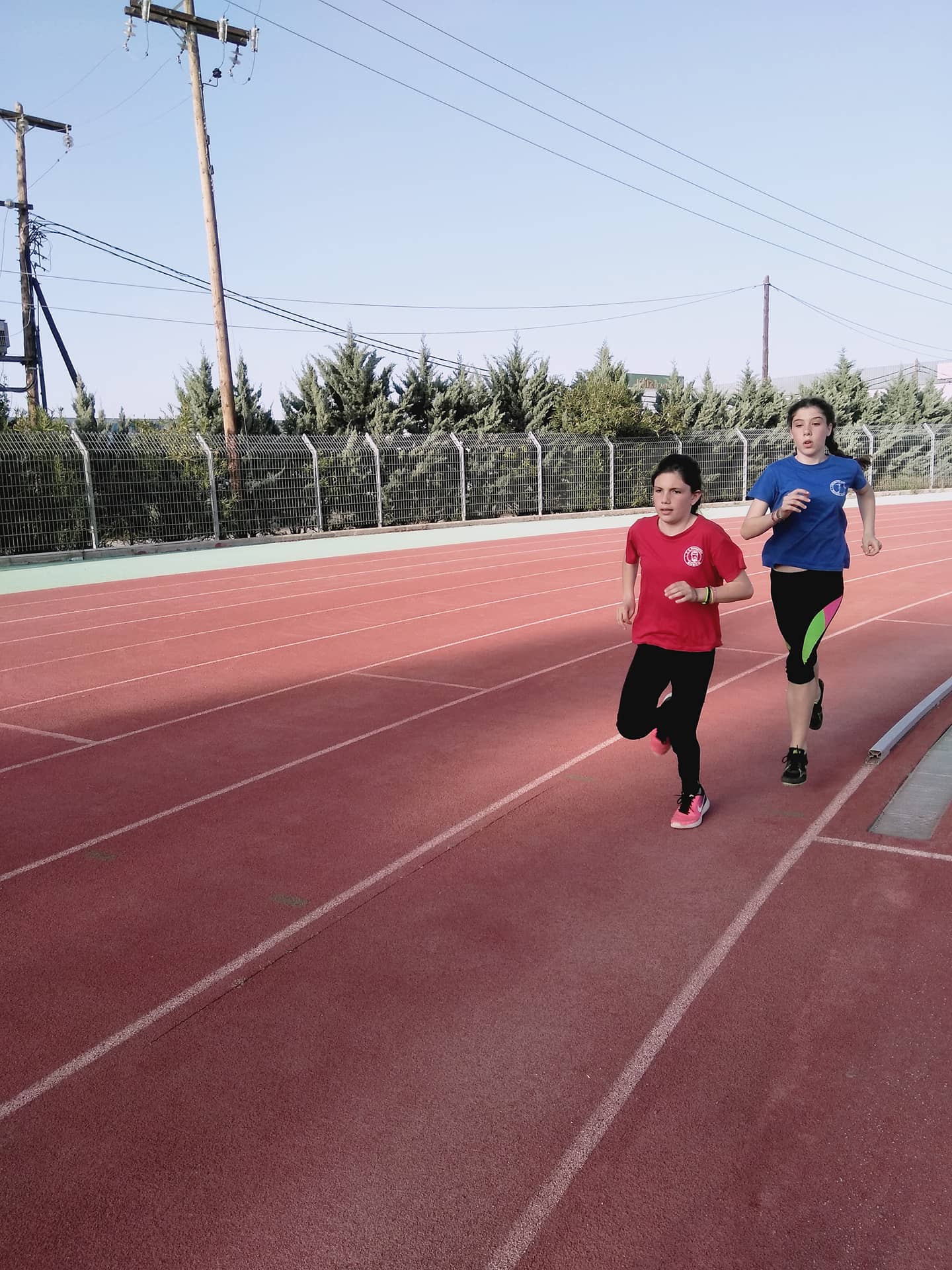 gs2018-184-polyathla_photo-048