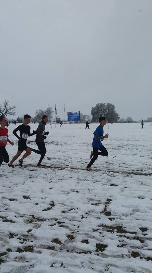 gs2019-221-panellinio_anomaloy_trikala-001