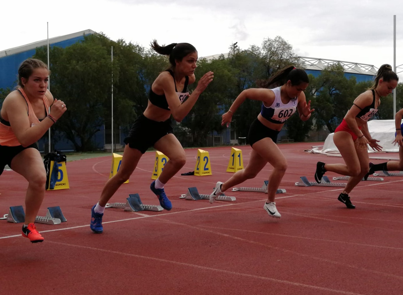 gs2019-226-diasillogiko_a_g-005