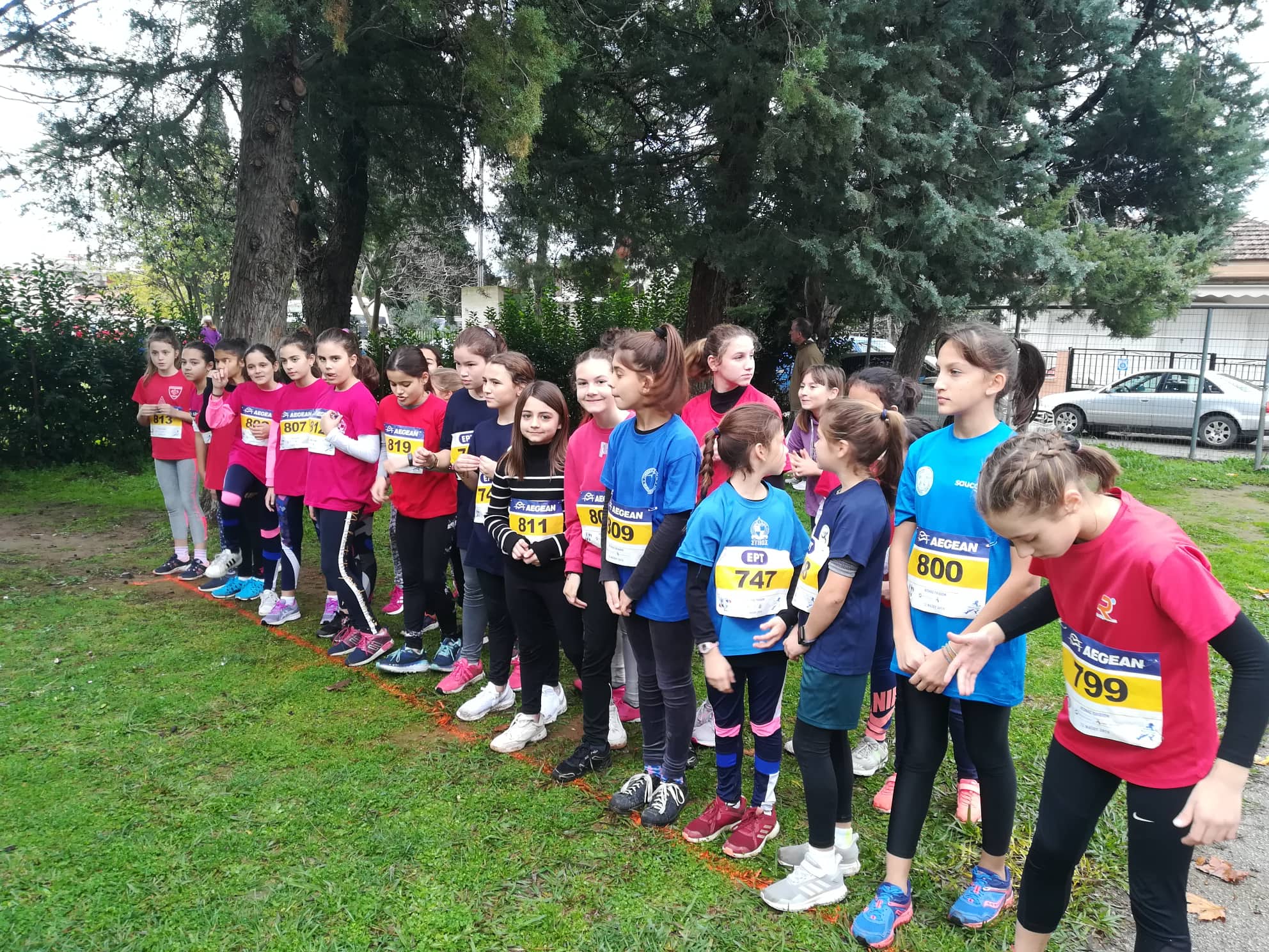 gs2019-251-aliatros-033