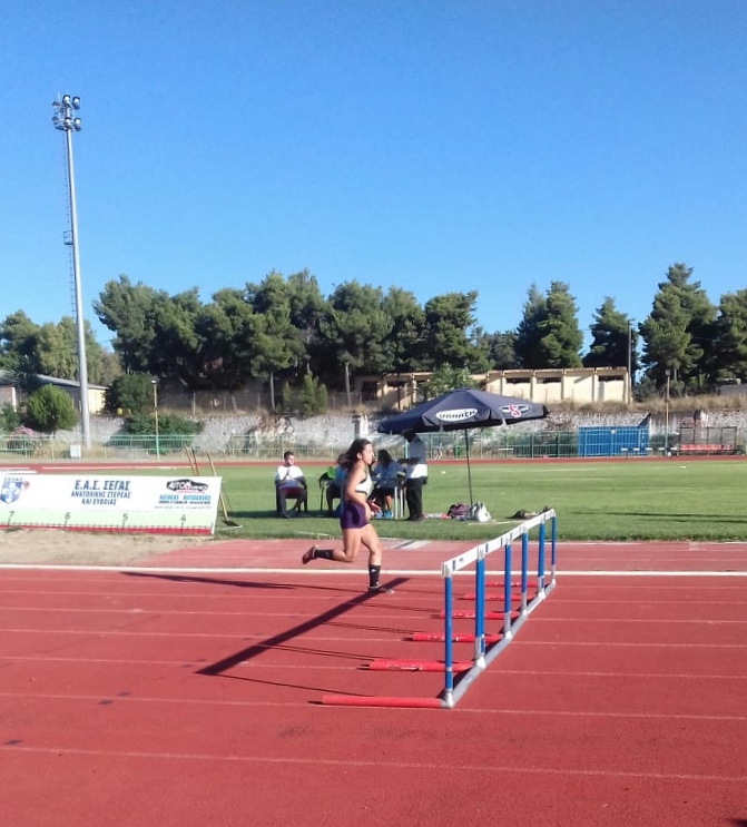 gs2020-262-diasyllogiko_k_16_xalkida-006