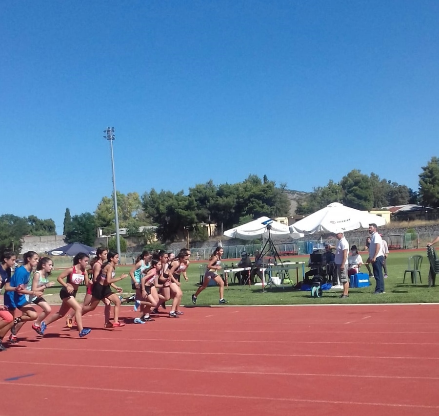 gs2020-262-diasyllogiko_k_16_xalkida-041