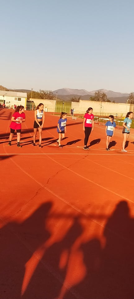 gs2022-289-tetrathlo_a-029