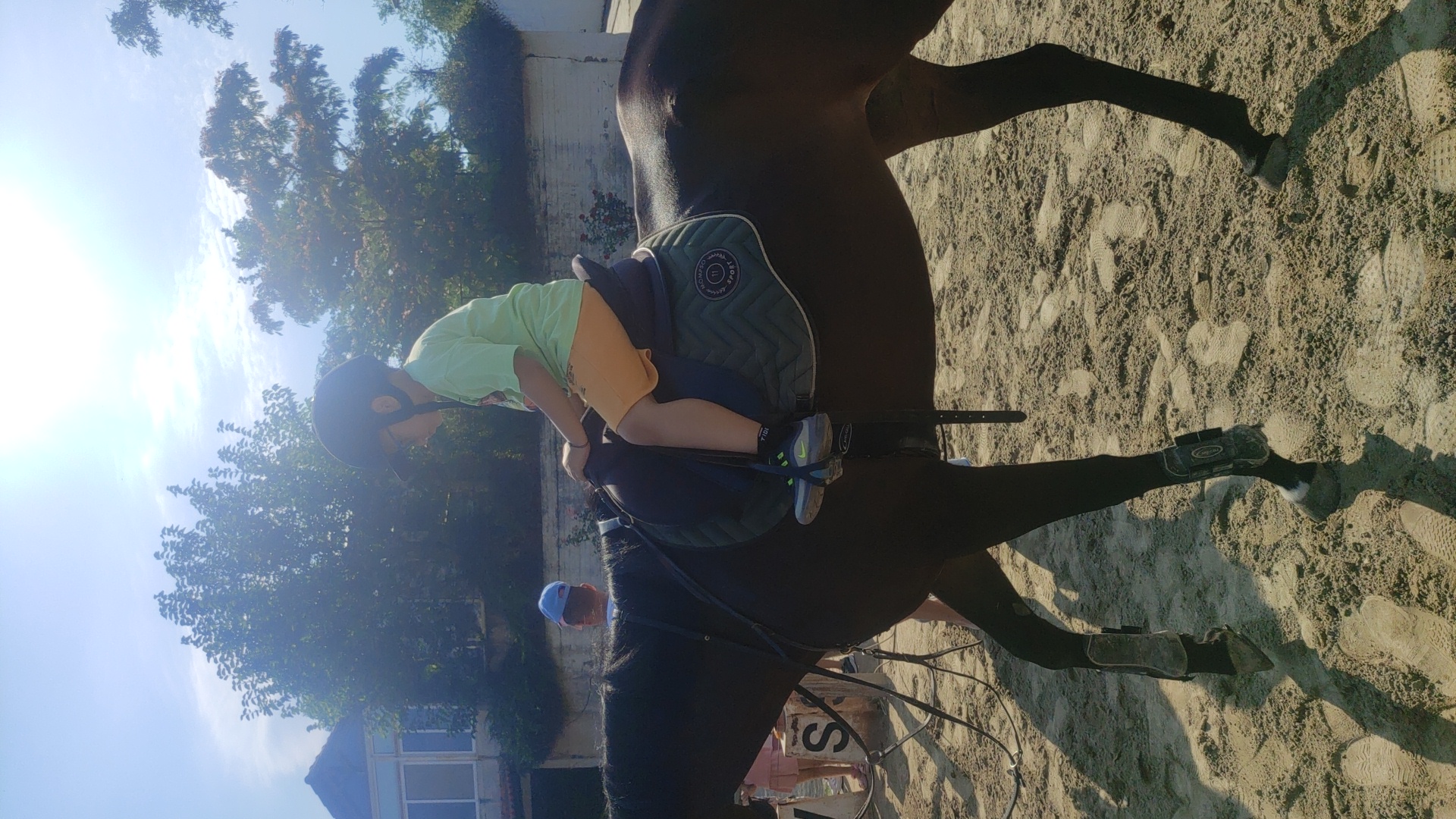 gs2023-353-ippasia-023