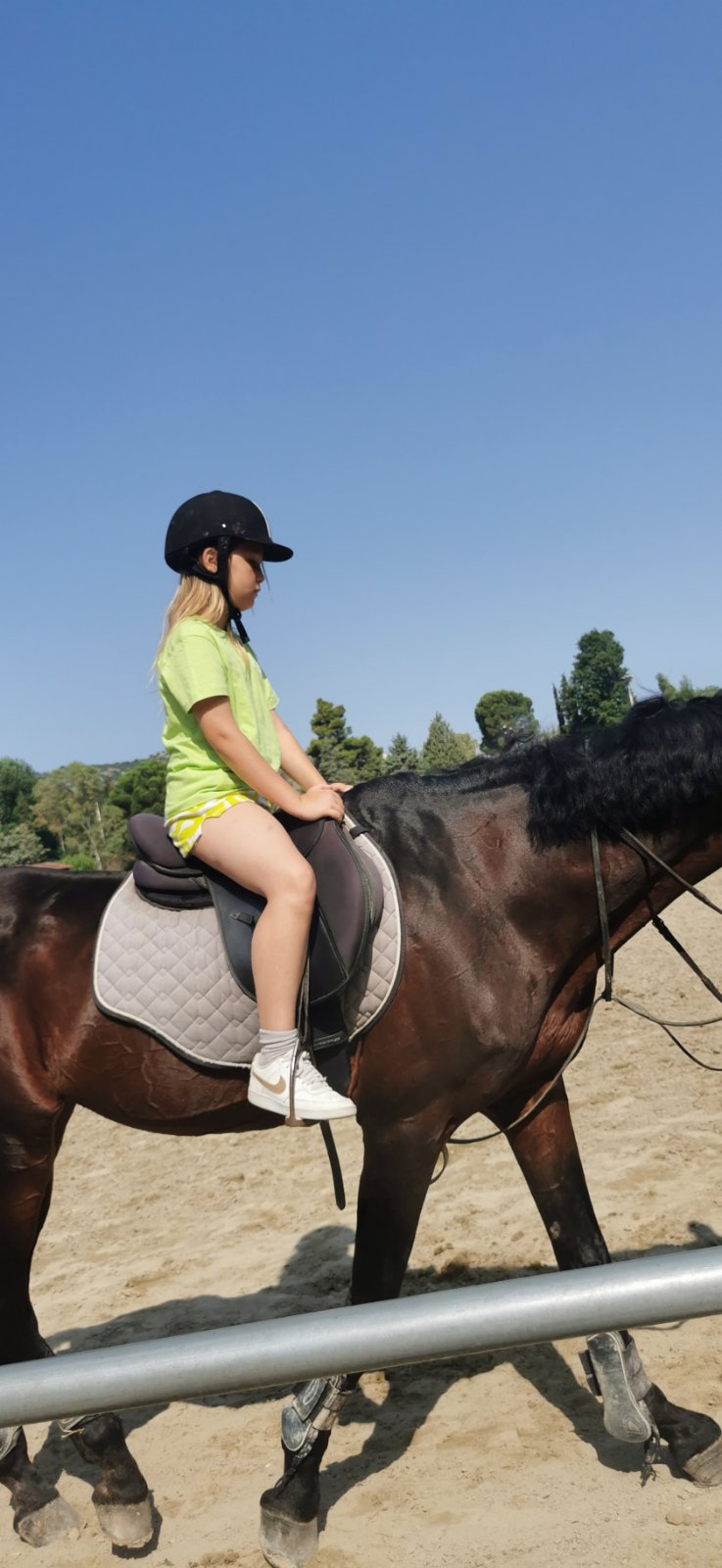 gs2023-353-ippasia-043