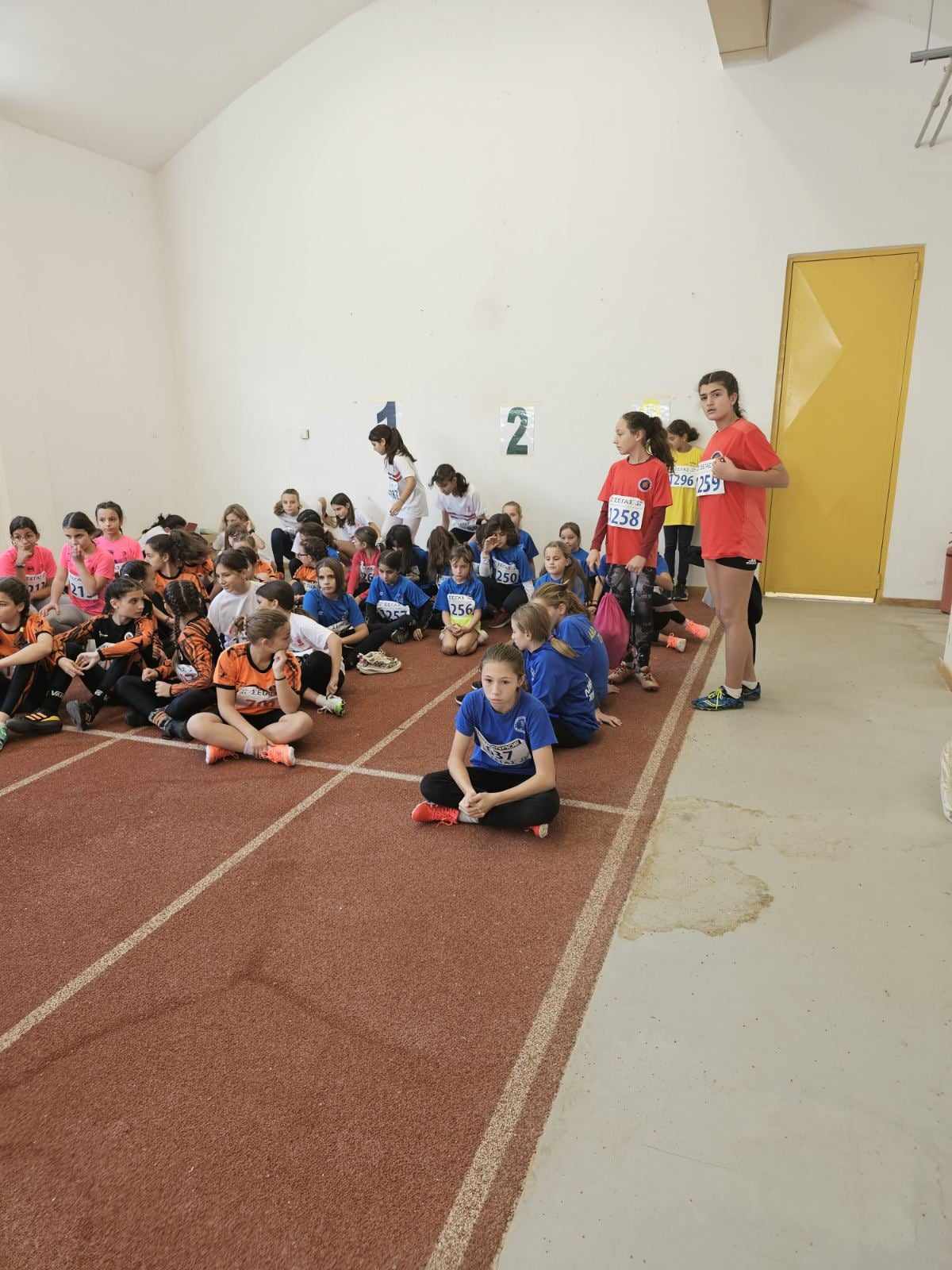 gs2023-372-karpenisi-004