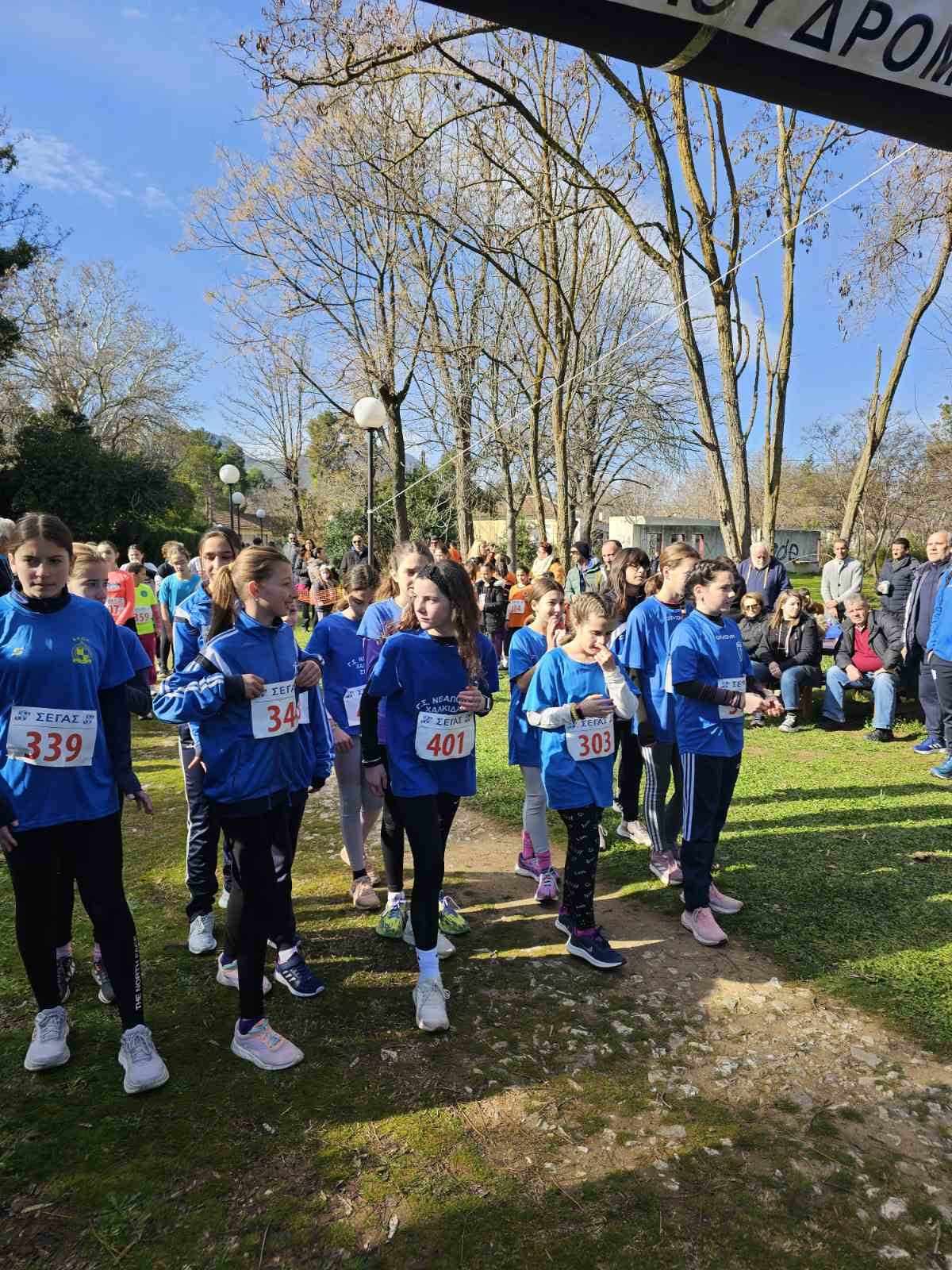 gs2024-373-aliartos-029