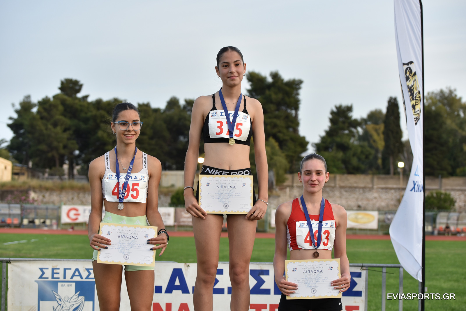 gs2024-389-diasyllogiko_k18-010