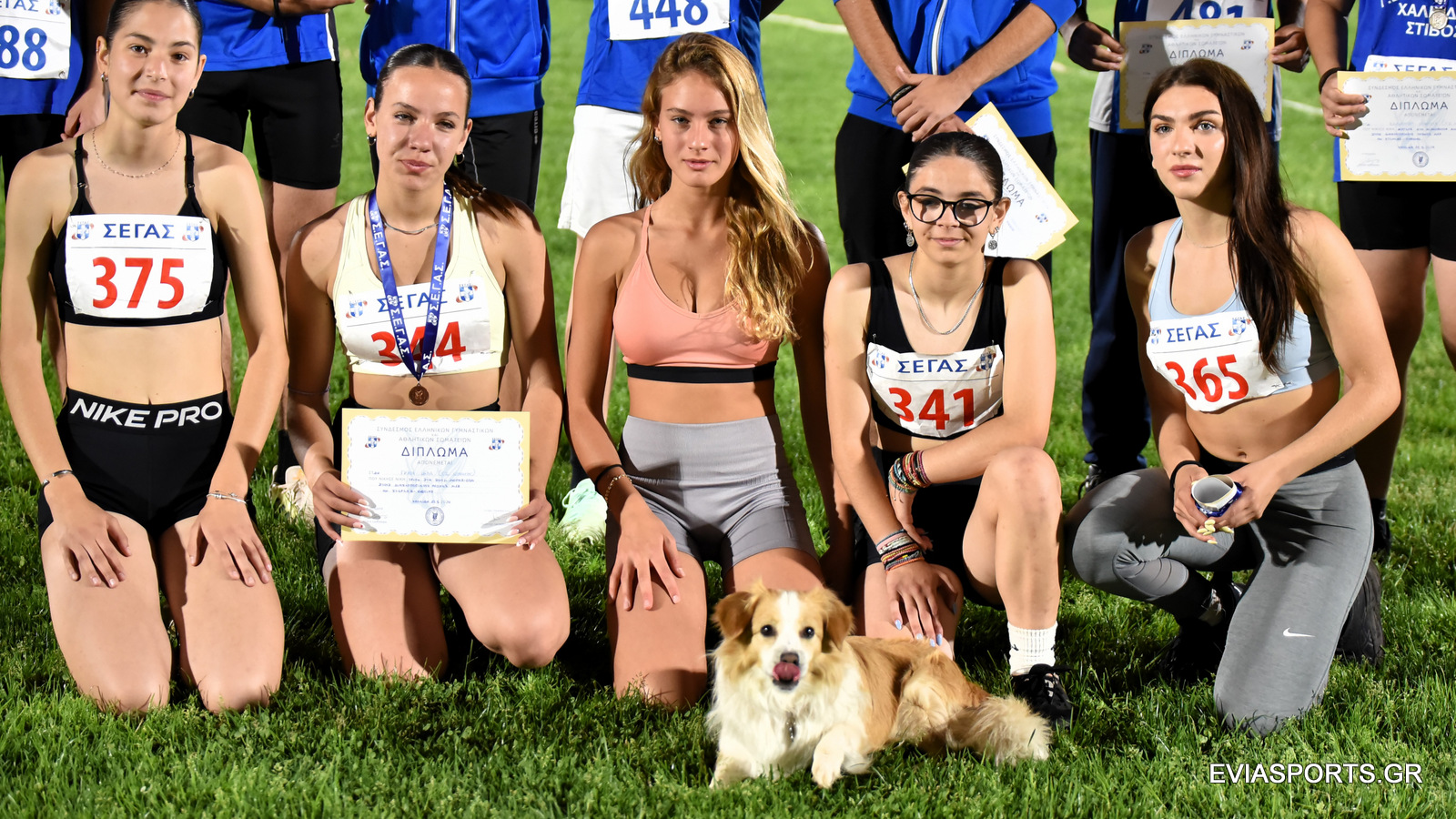 gs2024-389-diasyllogiko_k18-040