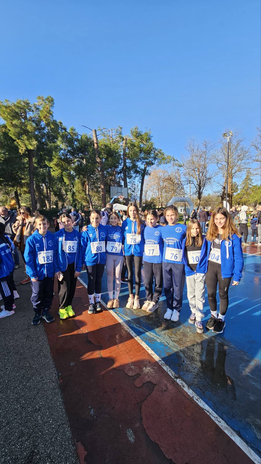 gs2025-403-anomalou_dromou_aliatros-006