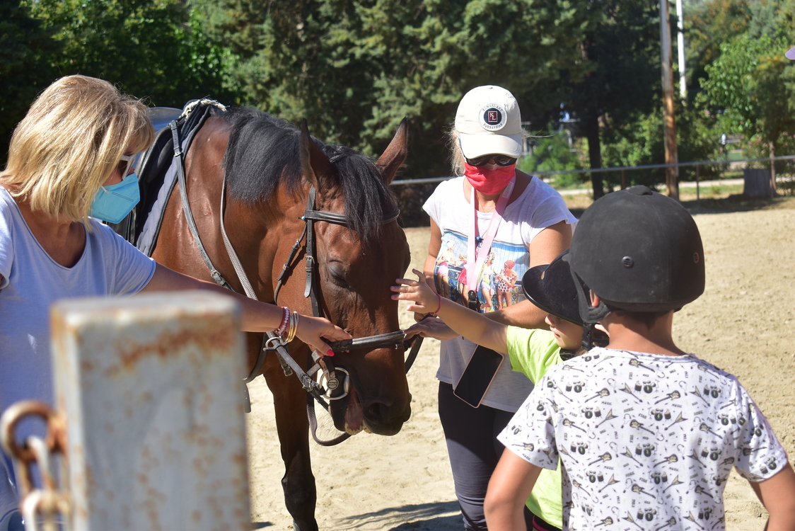 ippasia_camp_neapolis (20)