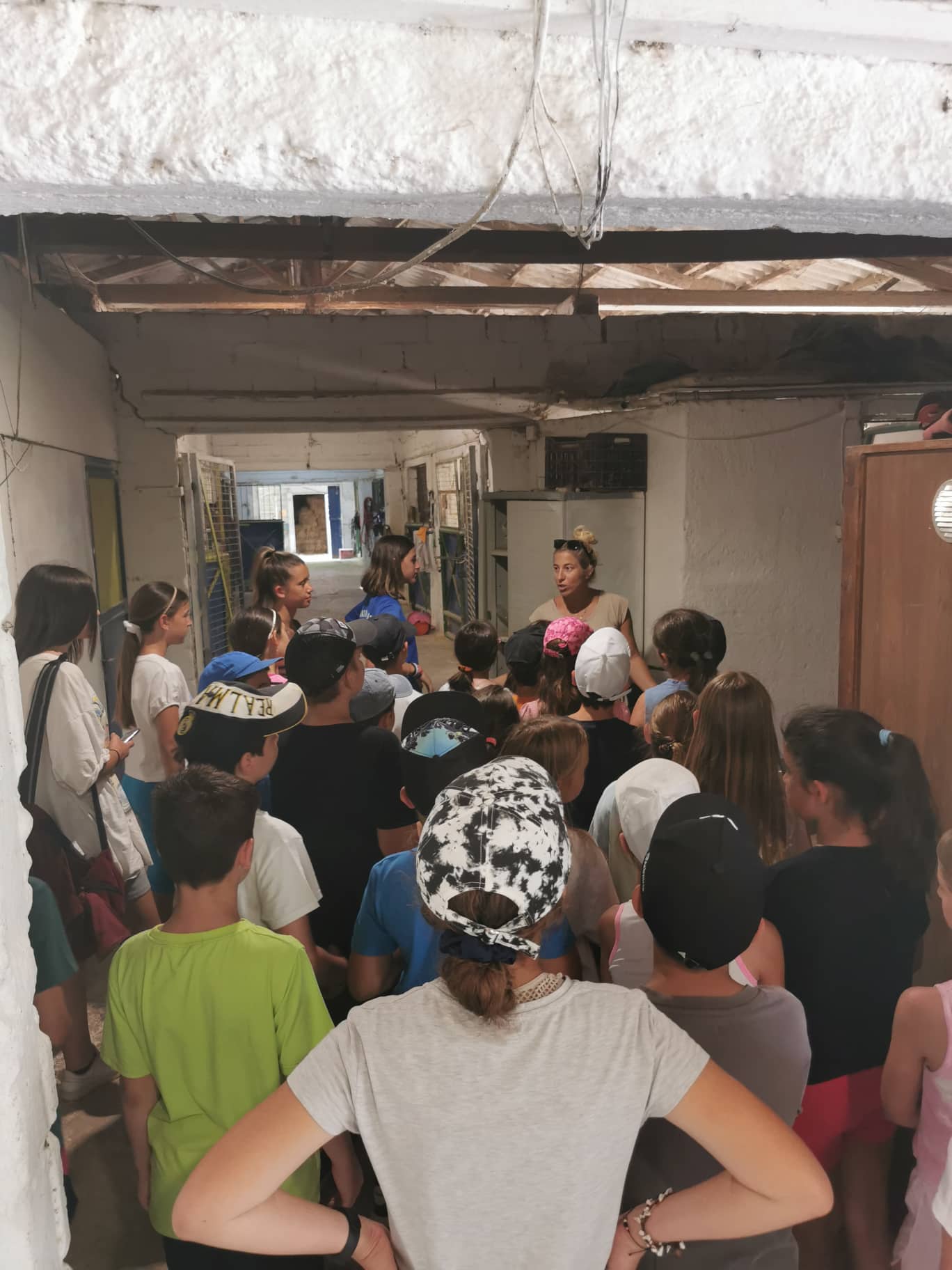 ippasia_camp_neapolis (5)