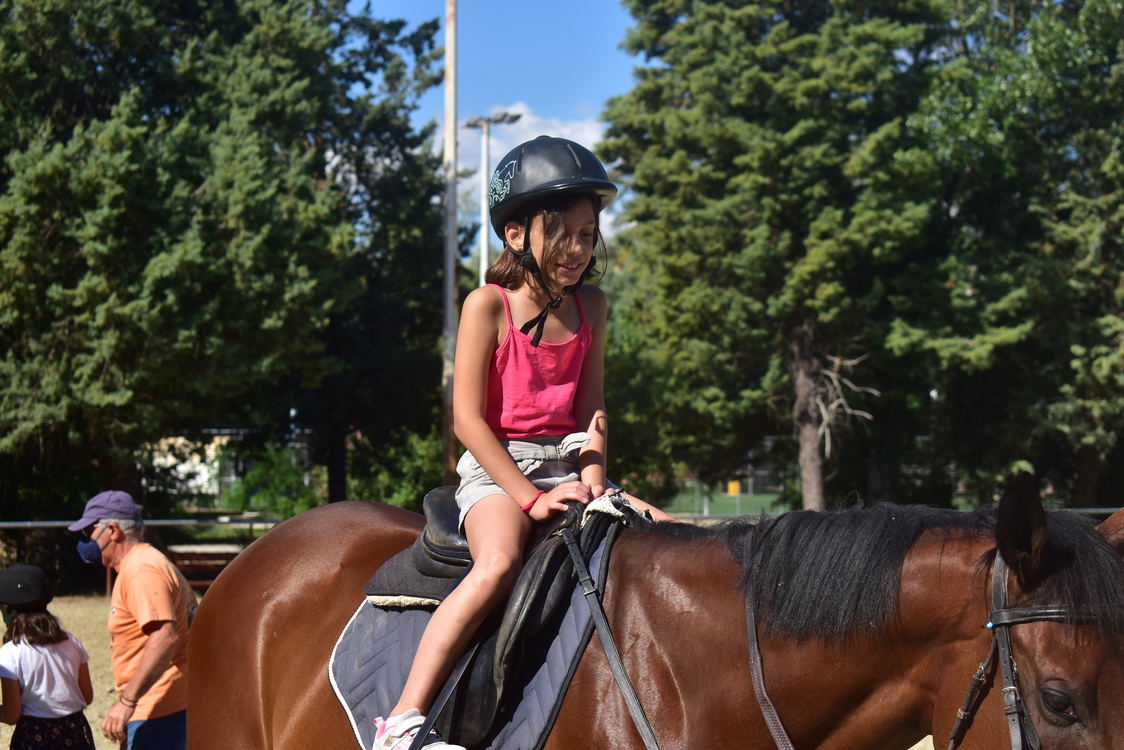 ippasia_camp_neapolis (9)